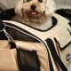 Top Small Dog Car Carriers for Safe Travel | My Caring Dog – Tips, Stories, and Care Guides for Loving Pet Owners