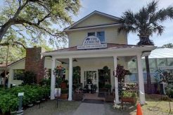 Best Dog Day Care in Pawleys Island, SC My Caring Dog – Tips, Stories, and Care Guides for Loving Pet Owners Best Dog Day Care in Pawleys Island, SC | My Caring Dog – Tips, Stories, and Care Guides for Loving Pet Owners