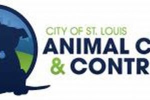 Fast 24 Hour Animal Control St. Louis MO Service My Caring Dog – Tips, Stories, and Care Guides for Loving Pet Owners Fast 24 Hour Animal Control St. Louis MO Service | My Caring Dog – Tips, Stories, and Care Guides for Loving Pet Owners