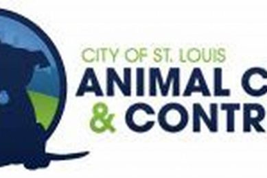Fast 24 Hour Animal Control St. Louis MO Service My Caring Dog – Tips, Stories, and Care Guides for Loving Pet Owners Fast 24 Hour Animal Control St. Louis MO Service | My Caring Dog – Tips, Stories, and Care Guides for Loving Pet Owners