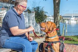 Cancer Support: Service Dogs for Patients My Caring Dog – Tips, Stories, and Care Guides for Loving Pet Owners Cancer Support: Service Dogs for Patients | My Caring Dog – Tips, Stories, and Care Guides for Loving Pet Owners