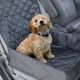 Top Dog Car Seat Covers for Leather: 2023 Guide | My Caring Dog – Tips, Stories, and Care Guides for Loving Pet Owners