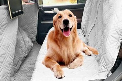 Top 5 Best Dog Seat Car Covers for Pet Owners My Caring Dog – Tips, Stories, and Care Guides for Loving Pet Owners Top 5 Best Dog Seat Car Covers for Pet Owners | My Caring Dog – Tips, Stories, and Care Guides for Loving Pet Owners