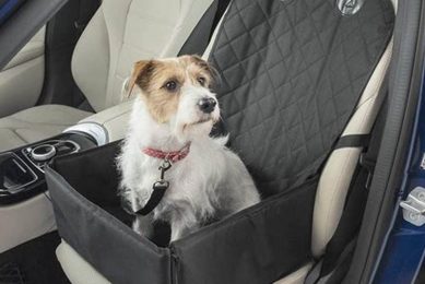 Best Dog Covers for Car Front Seats & Protection My Caring Dog – Tips, Stories, and Care Guides for Loving Pet Owners Best Dog Covers for Car Front Seats & Protection | My Caring Dog – Tips, Stories, and Care Guides for Loving Pet Owners