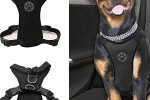 Best Padded Dog Car Harnesses for Safe Travel My Caring Dog – Tips, Stories, and Care Guides for Loving Pet Owners Best Padded Dog Car Harnesses for Safe Travel | My Caring Dog – Tips, Stories, and Care Guides for Loving Pet Owners