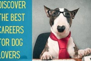 Top Dog Career Paths & Job Training Guide My Caring Dog – Tips, Stories, and Care Guides for Loving Pet Owners Top Dog Career Paths & Job Training Guide | My Caring Dog – Tips, Stories, and Care Guides for Loving Pet Owners