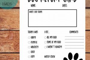 Dog Day Care Report Card My Caring Dog – Tips, Stories, and Care Guides for Loving Pet Owners Dog Day Care Report Card | My Caring Dog – Tips, Stories, and Care Guides for Loving Pet Owners