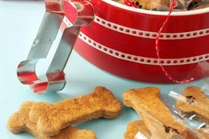 Best Ginger Biscuits: Stop Dog Car Sickness My Caring Dog – Tips, Stories, and Care Guides for Loving Pet Owners Best Ginger Biscuits: Stop Dog Car Sickness | My Caring Dog – Tips, Stories, and Care Guides for Loving Pet Owners