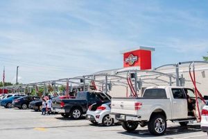 Top Dog Car Wash: Melbourne FL's Best My Caring Dog – Tips, Stories, and Care Guides for Loving Pet Owners Top Dog Car Wash: Melbourne FL's Best | My Caring Dog – Tips, Stories, and Care Guides for Loving Pet Owners