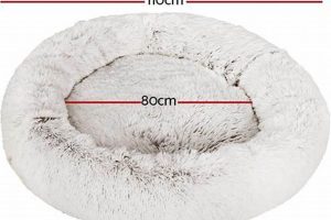 Best Pet Care Dog Beds for Comfort & Sleep My Caring Dog – Tips, Stories, and Care Guides for Loving Pet Owners Best Pet Care Dog Beds for Comfort & Sleep | My Caring Dog – Tips, Stories, and Care Guides for Loving Pet Owners