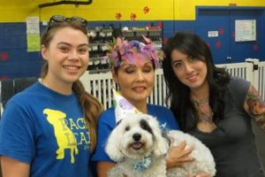 Best Dog Day Care in Honolulu: Top Choices My Caring Dog – Tips, Stories, and Care Guides for Loving Pet Owners Best Dog Day Care in Honolulu: Top Choices | My Caring Dog – Tips, Stories, and Care Guides for Loving Pet Owners