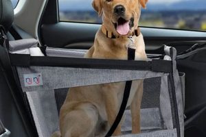 Best Dog Car Travel Accessories & Gear My Caring Dog – Tips, Stories, and Care Guides for Loving Pet Owners Best Dog Car Travel Accessories & Gear | My Caring Dog – Tips, Stories, and Care Guides for Loving Pet Owners