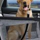 Best Dog Car Travel Accessories & Gear | My Caring Dog – Tips, Stories, and Care Guides for Loving Pet Owners
