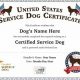 Car Dog Support Animal Certificates & Laws | My Caring Dog – Tips, Stories, and Care Guides for Loving Pet Owners