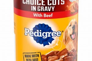 Canned Dog Food In Hot Car My Caring Dog – Tips, Stories, and Care Guides for Loving Pet Owners Canned Dog Food In Hot Car | My Caring Dog – Tips, Stories, and Care Guides for Loving Pet Owners