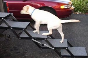 Dog Lift For Car My Caring Dog – Tips, Stories, and Care Guides for Loving Pet Owners Dog Lift For Car | My Caring Dog – Tips, Stories, and Care Guides for Loving Pet Owners