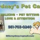 Best Dog Day Care in Boynton Beach, FL | My Caring Dog – Tips, Stories, and Care Guides for Loving Pet Owners