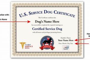 Emotional Support Dog Training Certification My Caring Dog – Tips, Stories, and Care Guides for Loving Pet Owners Emotional Support Dog Training Certification | My Caring Dog – Tips, Stories, and Care Guides for Loving Pet Owners