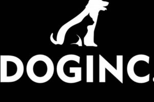 Doginc My Caring Dog – Tips, Stories, and Care Guides for Loving Pet Owners Doginc | My Caring Dog – Tips, Stories, and Care Guides for Loving Pet Owners
