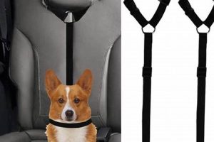 Best Dog Seatbelt for Car: Safe & Secure Travel My Caring Dog – Tips, Stories, and Care Guides for Loving Pet Owners Best Dog Seatbelt for Car: Safe & Secure Travel | My Caring Dog – Tips, Stories, and Care Guides for Loving Pet Owners