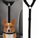 Best Dog Seatbelt for Car: Safe & Secure Travel | My Caring Dog – Tips, Stories, and Care Guides for Loving Pet Owners