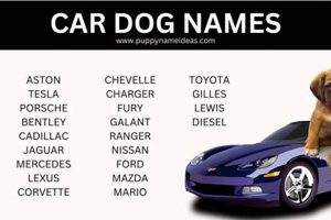 Top Cars with Dog Names: Find Your Pawfect Ride My Caring Dog – Tips, Stories, and Care Guides for Loving Pet Owners Top Cars with Dog Names: Find Your Pawfect Ride | My Caring Dog – Tips, Stories, and Care Guides for Loving Pet Owners