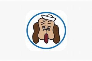 Best Salty Dog 3 Car Wash: Sparkling Clean My Caring Dog – Tips, Stories, and Care Guides for Loving Pet Owners Best Salty Dog 3 Car Wash: Sparkling Clean | My Caring Dog – Tips, Stories, and Care Guides for Loving Pet Owners