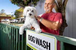 Best Dog Day Care in Woolgoolga NSW My Caring Dog – Tips, Stories, and Care Guides for Loving Pet Owners Best Dog Day Care in Woolgoolga NSW | My Caring Dog – Tips, Stories, and Care Guides for Loving Pet Owners