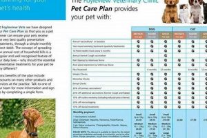 Ultimate Dog Preventive Care Plan Guide My Caring Dog – Tips, Stories, and Care Guides for Loving Pet Owners Ultimate Dog Preventive Care Plan Guide | My Caring Dog – Tips, Stories, and Care Guides for Loving Pet Owners