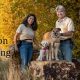 Expert Canine Companion Consulting for Car Dogs | My Caring Dog – Tips, Stories, and Care Guides for Loving Pet Owners