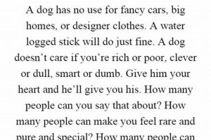 Why a Dog Has No Use for Fancy Cars: A Tail of Contentment My Caring Dog – Tips, Stories, and Care Guides for Loving Pet Owners Why a Dog Has No Use for Fancy Cars: A Tail of Contentment | My Caring Dog – Tips, Stories, and Care Guides for Loving Pet Owners
