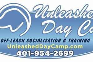 Best Dog Day Care in RI: Find Top Centers My Caring Dog – Tips, Stories, and Care Guides for Loving Pet Owners Best Dog Day Care in RI: Find Top Centers | My Caring Dog – Tips, Stories, and Care Guides for Loving Pet Owners