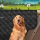 Top Dog Car Door Protectors For Safe Travels | My Caring Dog – Tips, Stories, and Care Guides for Loving Pet Owners