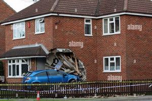 Car Crashes Into Home: Dogs Inside! My Caring Dog – Tips, Stories, and Care Guides for Loving Pet Owners Car Crashes Into Home: Dogs Inside! | My Caring Dog – Tips, Stories, and Care Guides for Loving Pet Owners