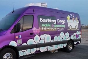 Best Mobile Dog Grooming Car Wash Service My Caring Dog – Tips, Stories, and Care Guides for Loving Pet Owners Best Mobile Dog Grooming Car Wash Service | My Caring Dog – Tips, Stories, and Care Guides for Loving Pet Owners
