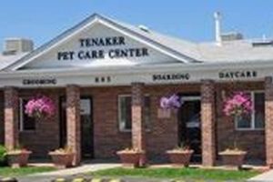 Tenaker Dog Care My Caring Dog – Tips, Stories, and Care Guides for Loving Pet Owners Tenaker Dog Care | My Caring Dog – Tips, Stories, and Care Guides for Loving Pet Owners