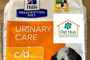 Hills Urinary Care C/d Dog Food My Caring Dog – Tips, Stories, and Care Guides for Loving Pet Owners Hills Urinary Care C/d Dog Food | My Caring Dog – Tips, Stories, and Care Guides for Loving Pet Owners