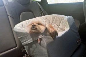 Dog Car Sickness: Tips & Remedies My Caring Dog – Tips, Stories, and Care Guides for Loving Pet Owners Dog Car Sickness: Tips & Remedies | My Caring Dog – Tips, Stories, and Care Guides for Loving Pet Owners