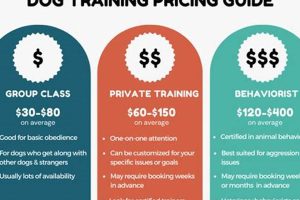 K9 Trainer Salaries: A Car Dog Owner's Guide My Caring Dog – Tips, Stories, and Care Guides for Loving Pet Owners K9 Trainer Salaries: A Car Dog Owner's Guide | My Caring Dog – Tips, Stories, and Care Guides for Loving Pet Owners