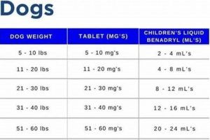 Safe Benadryl Dosage for Dogs: Car Sickness Guide My Caring Dog – Tips, Stories, and Care Guides for Loving Pet Owners Safe Benadryl Dosage for Dogs: Car Sickness Guide | My Caring Dog – Tips, Stories, and Care Guides for Loving Pet Owners