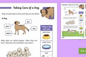 Can I Take Care Of A Dog Quiz My Caring Dog – Tips, Stories, and Care Guides for Loving Pet Owners Can I Take Care Of A Dog Quiz | My Caring Dog – Tips, Stories, and Care Guides for Loving Pet Owners
