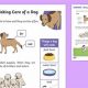 Can I Take Care Of A Dog Quiz | My Caring Dog – Tips, Stories, and Care Guides for Loving Pet Owners