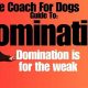 Car Dog Coaching & Training Tips | My Caring Dog – Tips, Stories, and Care Guides for Loving Pet Owners