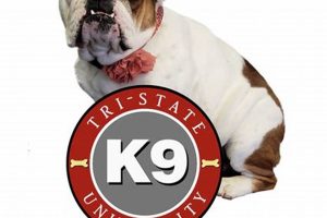 Tri State K9 University: Car Dog Training My Caring Dog – Tips, Stories, and Care Guides for Loving Pet Owners Tri State K9 University: Car Dog Training | My Caring Dog – Tips, Stories, and Care Guides for Loving Pet Owners