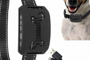 Best Pet Care Dog Training Collars for 2024 My Caring Dog – Tips, Stories, and Care Guides for Loving Pet Owners Best Pet Care Dog Training Collars for 2024 | My Caring Dog – Tips, Stories, and Care Guides for Loving Pet Owners