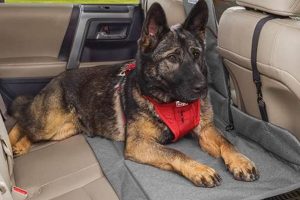 Best Backseat Dog Bridge Car Seat Extenders for Safe Travel My Caring Dog – Tips, Stories, and Care Guides for Loving Pet Owners Best Backseat Dog Bridge Car Seat Extenders for Safe Travel | My Caring Dog – Tips, Stories, and Care Guides for Loving Pet Owners