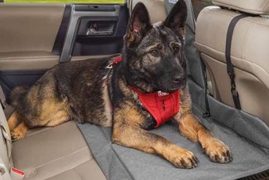 Best Backseat Dog Bridge Car Seat Extenders for Safe Travel My Caring Dog – Tips, Stories, and Care Guides for Loving Pet Owners Best Backseat Dog Bridge Car Seat Extenders for Safe Travel | My Caring Dog – Tips, Stories, and Care Guides for Loving Pet Owners