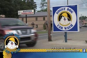 Beaver WV's Soggy Dog Car Wash: Best Pet Spa My Caring Dog – Tips, Stories, and Care Guides for Loving Pet Owners Beaver WV's Soggy Dog Car Wash: Best Pet Spa | My Caring Dog – Tips, Stories, and Care Guides for Loving Pet Owners