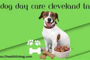 Top Dog Day Care in Cleveland TN: Best Options My Caring Dog – Tips, Stories, and Care Guides for Loving Pet Owners Top Dog Day Care in Cleveland TN: Best Options | My Caring Dog – Tips, Stories, and Care Guides for Loving Pet Owners