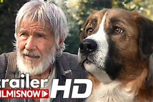 Car Dogs Full Movie My Caring Dog – Tips, Stories, and Care Guides for Loving Pet Owners Car Dogs Full Movie | My Caring Dog – Tips, Stories, and Care Guides for Loving Pet Owners